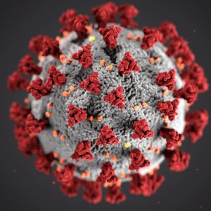 Darstellung des Corona-Virus